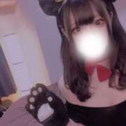 ヒメ日記 2025/03/13 21:58 投稿 ミイ ツートップ