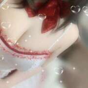 ヒメ日記 2025/04/01 07:03 投稿 ミイ ツートップ