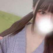 ヒメ日記 2025/04/02 07:18 投稿 ミイ ツートップ