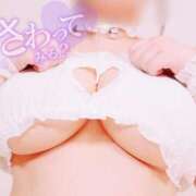 ミイ えちだよ ツートップ