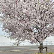 ヒメ日記 2025/04/09 11:13 投稿 つゆ スピード梅田店