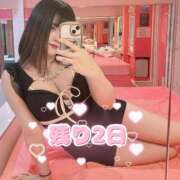 ヒメ日記 2025/04/05 12:24 投稿 よつば マリンマリン