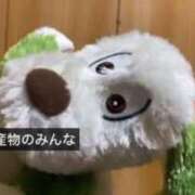 ヒメ日記 2025/07/30 12:54 投稿 よつば マリンマリン