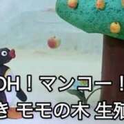 ヒメ日記 2025/11/06 12:06 投稿 よつば マリンマリン