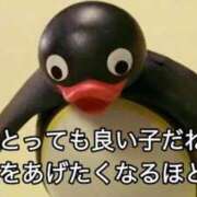 ヒメ日記 2025/11/17 20:22 投稿 よつば マリンマリン
