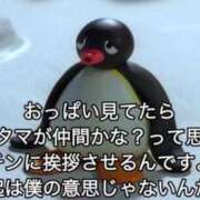 ヒメ日記 2025/11/24 12:24 投稿 よつば マリン熊本本店