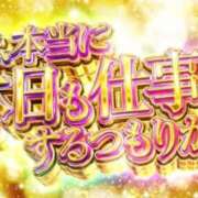 ヒメ日記 2025/12/23 23:14 投稿 よつば マリンマリン