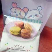 ヒメ日記 2025/04/20 18:30 投稿 もね スパーク日本橋