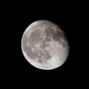 ヒメ日記 2024/12/21 17:16 投稿 みお奥様 人妻倶楽部　日本橋店