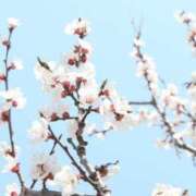 ヒメ日記 2025/02/03 19:56 投稿 みお奥様 人妻倶楽部　日本橋店