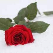 ヒメ日記 2025/02/05 13:36 投稿 みお奥様 人妻倶楽部　日本橋店