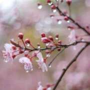 ヒメ日記 2025/03/04 18:06 投稿 みお奥様 人妻倶楽部　日本橋店