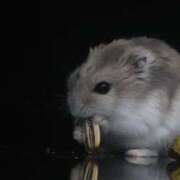 ヒメ日記 2025/05/22 16:26 投稿 みお奥様 人妻倶楽部　日本橋店