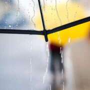 ヒメ日記 2025/05/24 09:36 投稿 みお奥様 人妻倶楽部　日本橋店