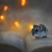 ヒメ日記 2025/06/02 20:26 投稿 みお奥様 人妻倶楽部　日本橋店