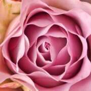 ヒメ日記 2025/06/04 19:36 投稿 みお奥様 人妻倶楽部　日本橋店