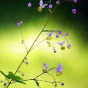 ヒメ日記 2025/06/05 21:36 投稿 みお奥様 人妻倶楽部　日本橋店