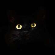 ヒメ日記 2025/06/06 17:01 投稿 みお奥様 人妻倶楽部　日本橋店