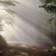 ヒメ日記 2025/07/04 10:26 投稿 みお奥様 人妻倶楽部　日本橋店