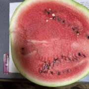 ヒメ日記 2025/07/27 19:36 投稿 みお奥様 人妻倶楽部　日本橋店