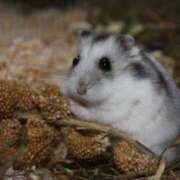 ヒメ日記 2025/08/07 13:16 投稿 みお奥様 人妻倶楽部　日本橋店