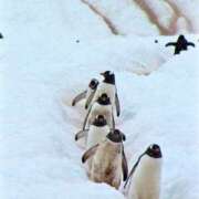 ヒメ日記 2025/08/18 14:29 投稿 みお奥様 人妻倶楽部　日本橋店