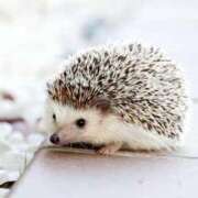 ヒメ日記 2025/08/21 15:56 投稿 みお奥様 人妻倶楽部　日本橋店