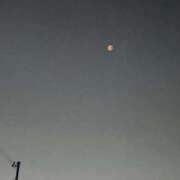 ヒメ日記 2025/09/08 15:16 投稿 みお奥様 人妻倶楽部　日本橋店