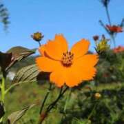 ヒメ日記 2025/09/18 15:06 投稿 みお奥様 人妻倶楽部　日本橋店