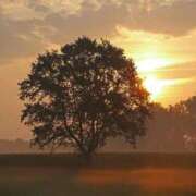 ヒメ日記 2025/10/13 14:06 投稿 みお奥様 人妻倶楽部　日本橋店