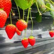 うた 初めて🫶 白い巨乳