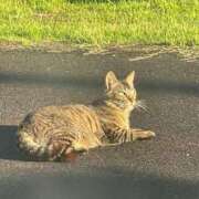 ヒメ日記 2025/05/16 07:56 投稿 阿久津 熟女の風俗最終章　鶯谷店