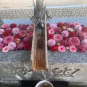 ヒメ日記 2025/05/25 14:08 投稿 阿久津 熟女の風俗最終章　鶯谷店