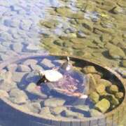 ヒメ日記 2025/06/13 18:36 投稿 阿久津 熟女の風俗最終章　鶯谷店