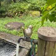 ヒメ日記 2025/10/30 14:16 投稿 阿久津 熟女の風俗最終章　鶯谷店