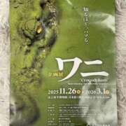 阿久津 あと1日 熟女の風俗最終章　鶯谷店