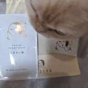 ヒメ日記 2024/12/26 01:44 投稿 律 熟女の風俗最終章 横浜本店