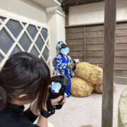 ヒメ日記 2024/12/26 02:49 投稿 律 熟女の風俗最終章 横浜本店