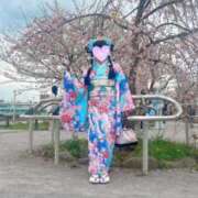 ヒメ日記 2025/04/14 03:44 投稿 律 熟女の風俗最終章 横浜本店