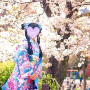 ヒメ日記 2025/04/19 10:50 投稿 律 熟女の風俗最終章 横浜本店