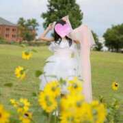 ヒメ日記 2025/04/28 22:24 投稿 律 熟女の風俗最終章 横浜本店