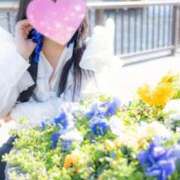 ヒメ日記 2025/07/07 13:03 投稿 律 熟女の風俗最終章 横浜本店