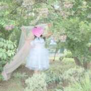 ヒメ日記 2025/07/18 15:54 投稿 律 熟女の風俗最終章 横浜本店