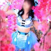 ヒメ日記 2026/04/08 11:04 投稿 律 熟女の風俗最終章 横浜本店