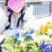 ヒメ日記 2026/04/24 22:04 投稿 律 熟女の風俗最終章 横浜本店