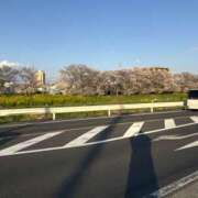 ヒメ日記 2025/04/08 20:44 投稿 めぐる 脱がされたい人妻 越谷店