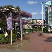 ヒメ日記 2026/04/17 11:57 投稿 めぐる 脱がされたい人妻 越谷店