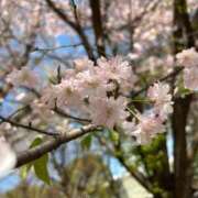 ヒメ日記 2025/04/17 17:53 投稿 わかな しろうと娘　本店