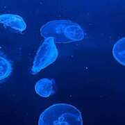 ヒメ日記 2025/04/23 13:43 投稿 わかな しろうと娘　本店