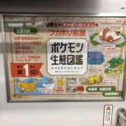 ヒメ日記 2025/09/10 15:42 投稿 めぐる 脱がされたい人妻 春日部店